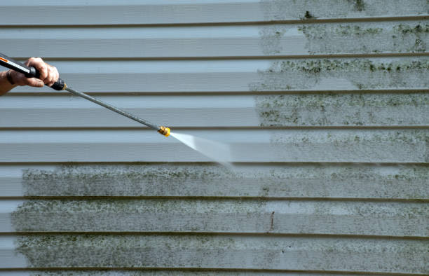 Best Deck Cleaning Services  in Porter Heights, TX