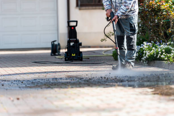 Best Exterior Home Cleaning  in Porter Heights, TX
